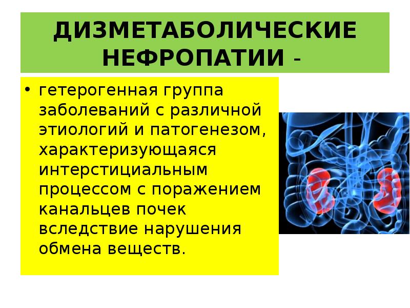 Токсическая нефропатия презентация