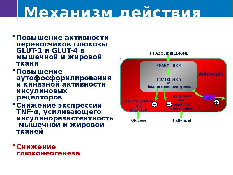 Повышенная активность