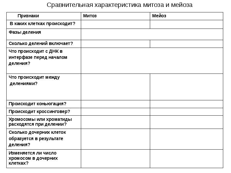 Биологическое значение митоза и мейоза презентация