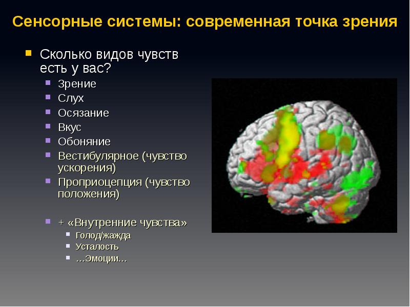 Сенсорные системы обеспечивают