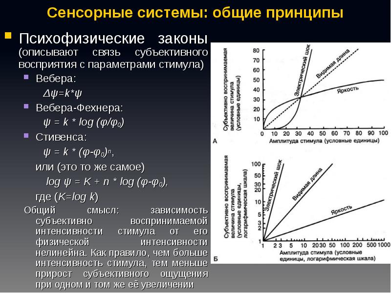 Соматосенсорная температура