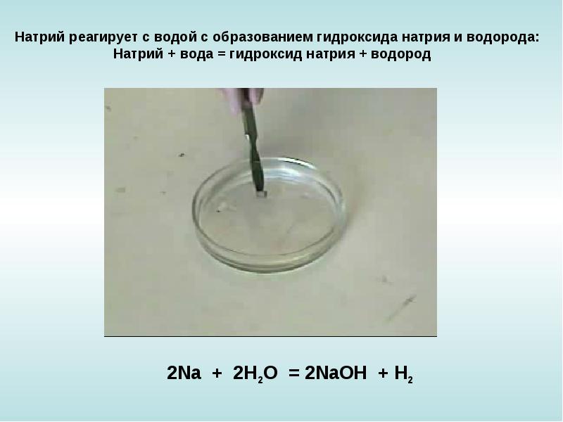 Горение гидроксида натрия. Натрий и вода реакция. Реагирует ли натрий с водой. Металлический натрий с водой. Реакция взаимодействия натрия с водой.