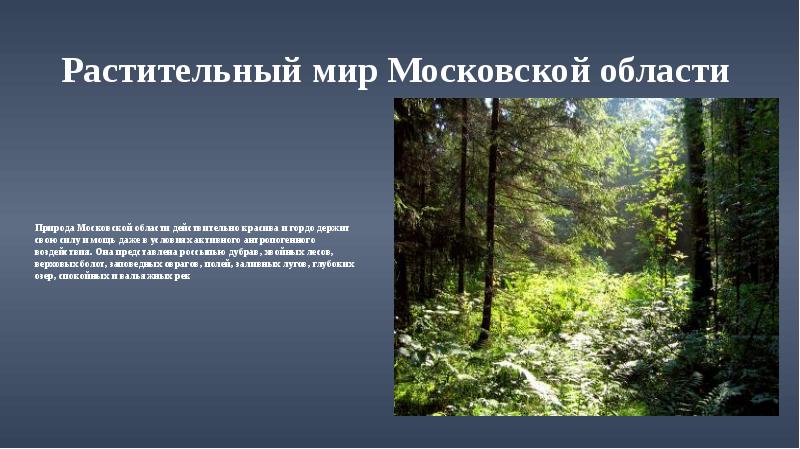 Разнообразие природы родного края проект 3 класс санкт петербурга