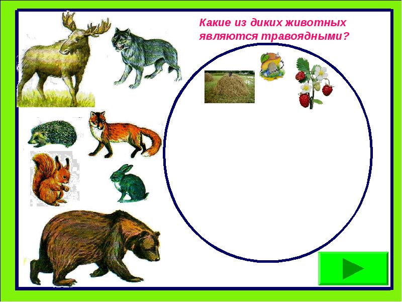 Распределите животных в 3 группы рисунок на с 90