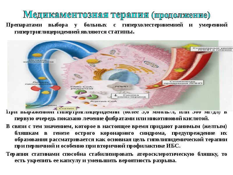 Презентация на тему атеросклероз