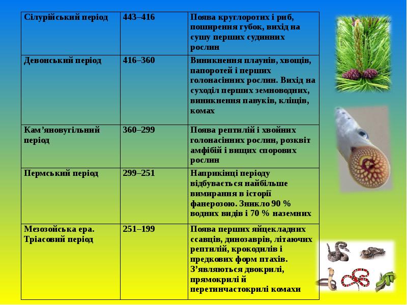 древо эволюции живых организмов. филогенетическое древо хордовых животных.