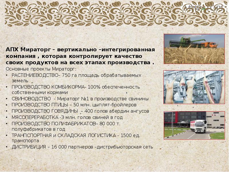 Мираторг презентация pdf