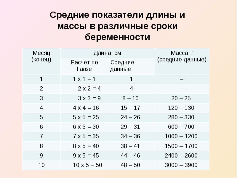 Длина беременности