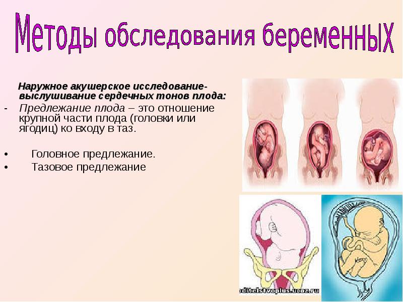 Перинатальная охрана плода презентация