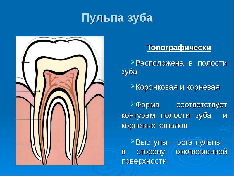 Какую функцию выполняет приложение