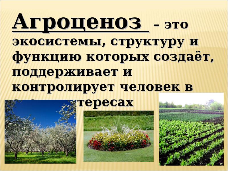 Пути повышения биологической продуктивности в искусственных экосистемах проект