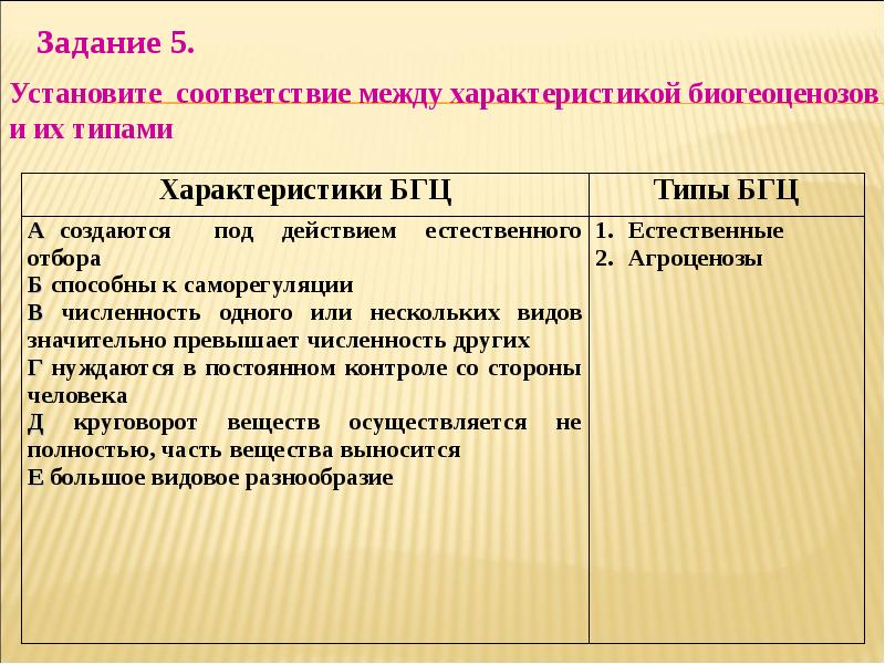 План описания экосистемы своей местности