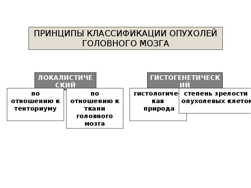 Классификация мозга