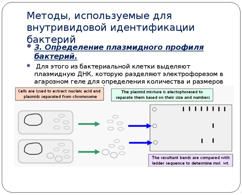 Нэсп без идентификации что это