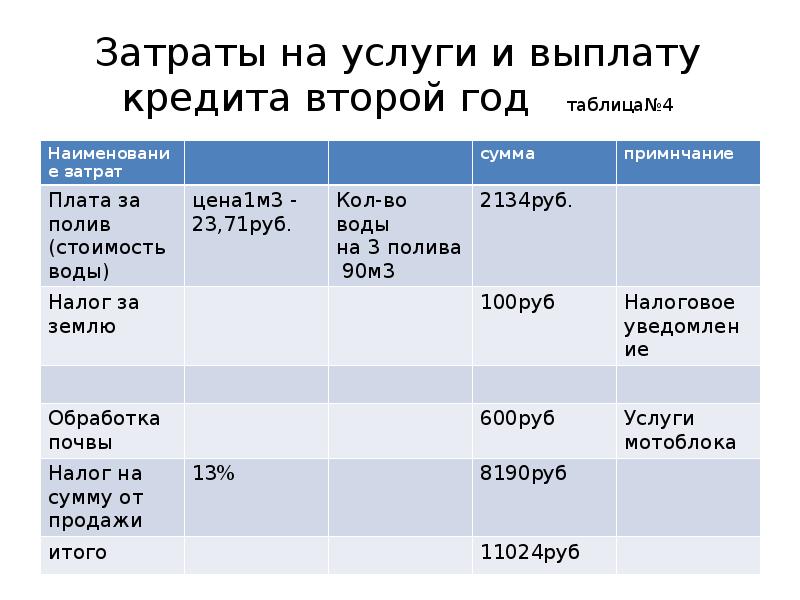 Бизнес план по выращиванию чеснока с расчетами на 1 га