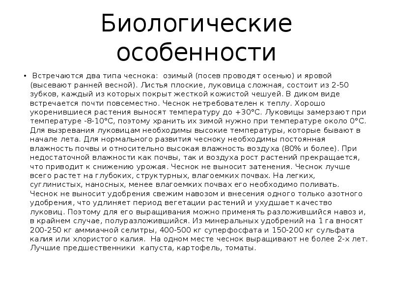 Бизнес план выращивание чеснока презентация