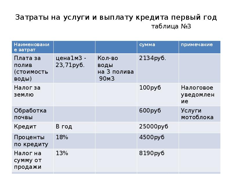 Бизнес план выращивание чеснока презентация