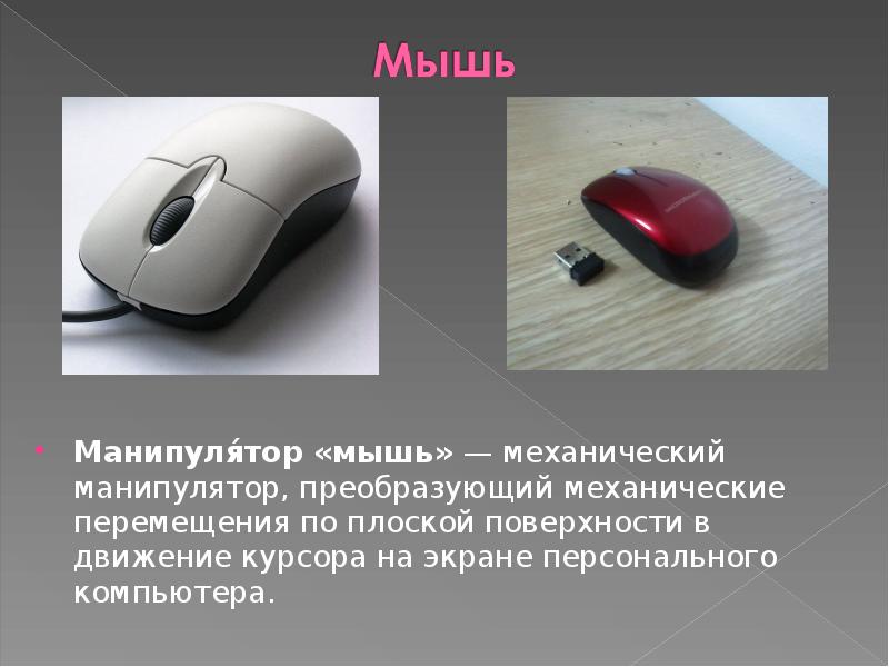 Манипулятор мышь. Сообщение манипулятор мышь. Мышь трекбол сенсорная панель. Манипулятор мышь. Манипулятор мышь.