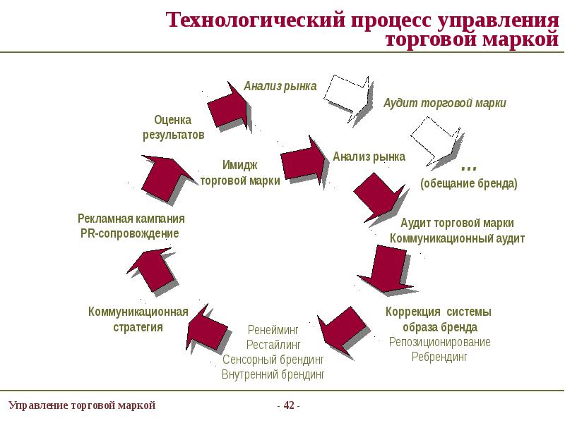 Конкуренция брендов проект