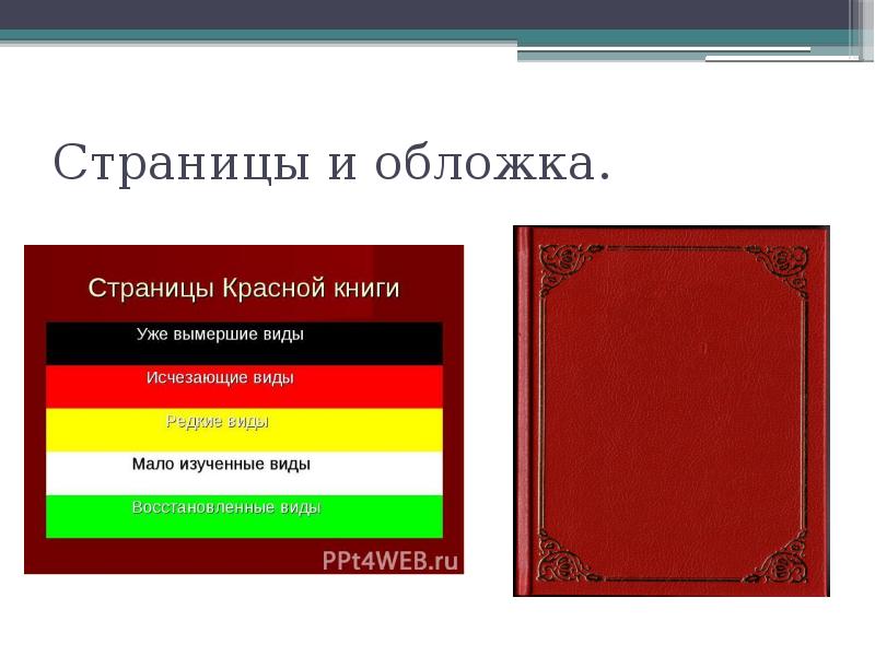 Международная красная книга 4 класс презентация