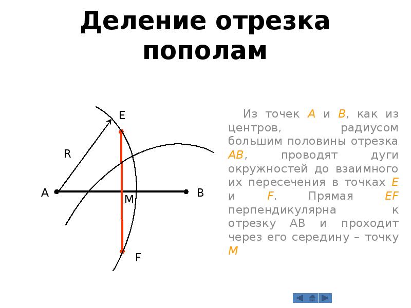 Делим отрезок пополам