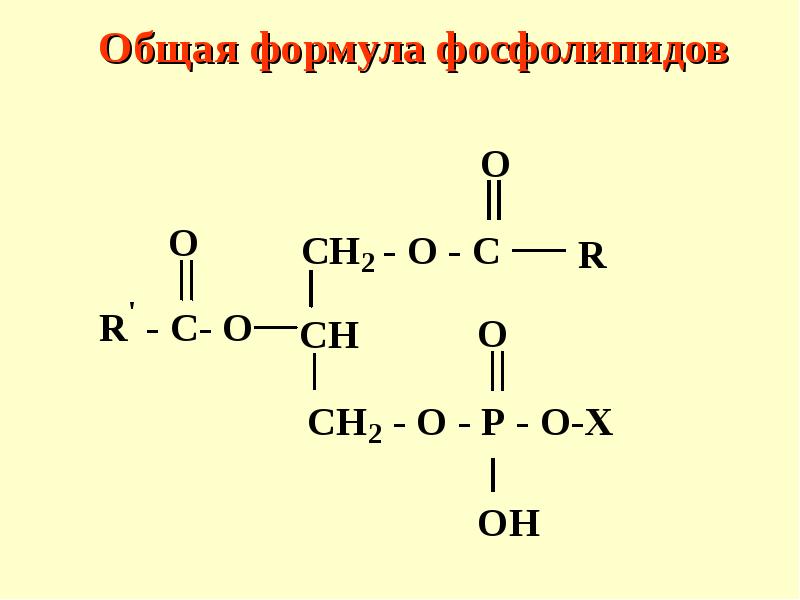 Общая структурная формула. Общая формула фосфолипидов. Формулы фосфолипидов биохимия. Структурная формула фосфолипидов. Фосфолипиды структура формула.