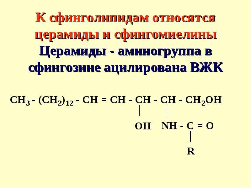 Церамиды это. Церамиды и Сфинголипиды. Распад сфинголипидов. Церамиды Синтез. Церамиды гидролиз.