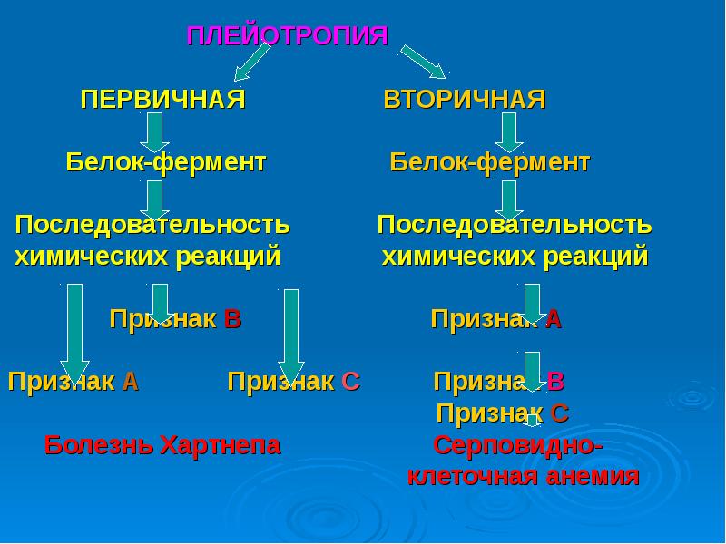 Последовательность химических реакций