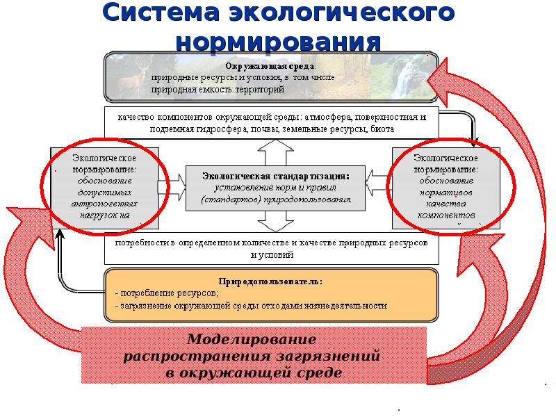 Система экологических нормативов схема