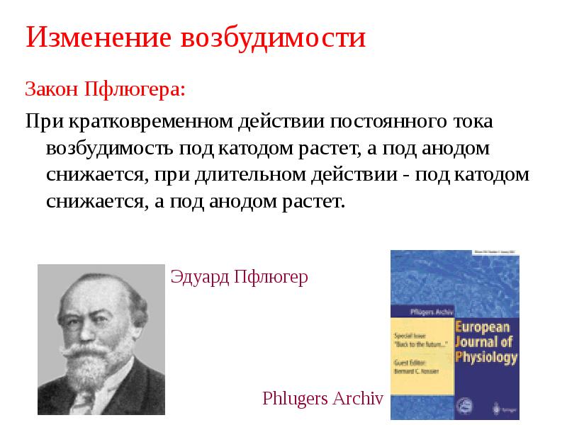 Физиология возбудимых тканей презентация