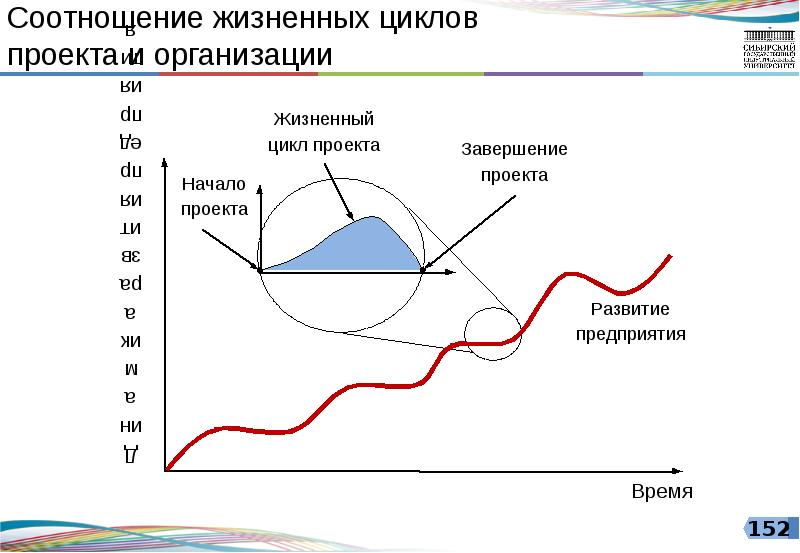 Окружающая среда и жизненный цикл проекта курсовая