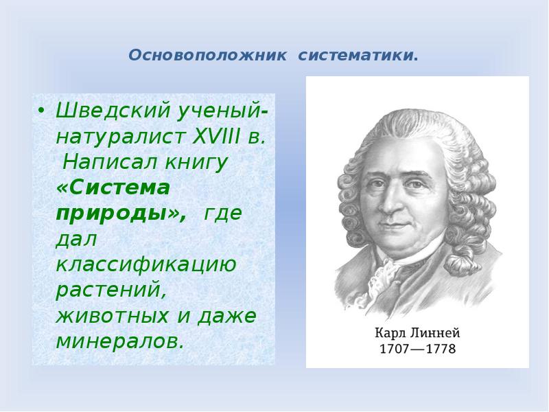 Ученые на букву т. Систематика растений. Основатель систематики. Автор систематики. Классификация растений.