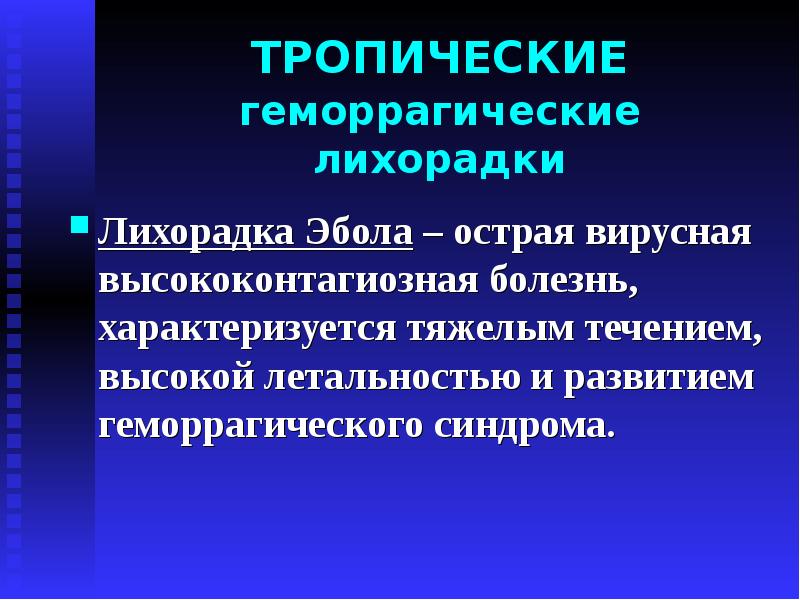 Геморрагические лихорадки презентация