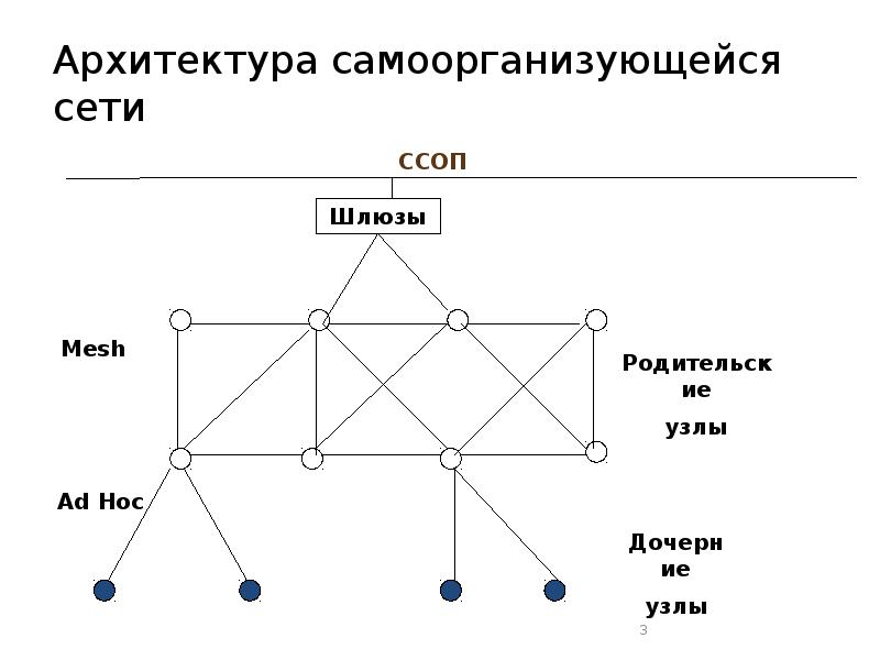 Рынок как самоорганизующаяся система план