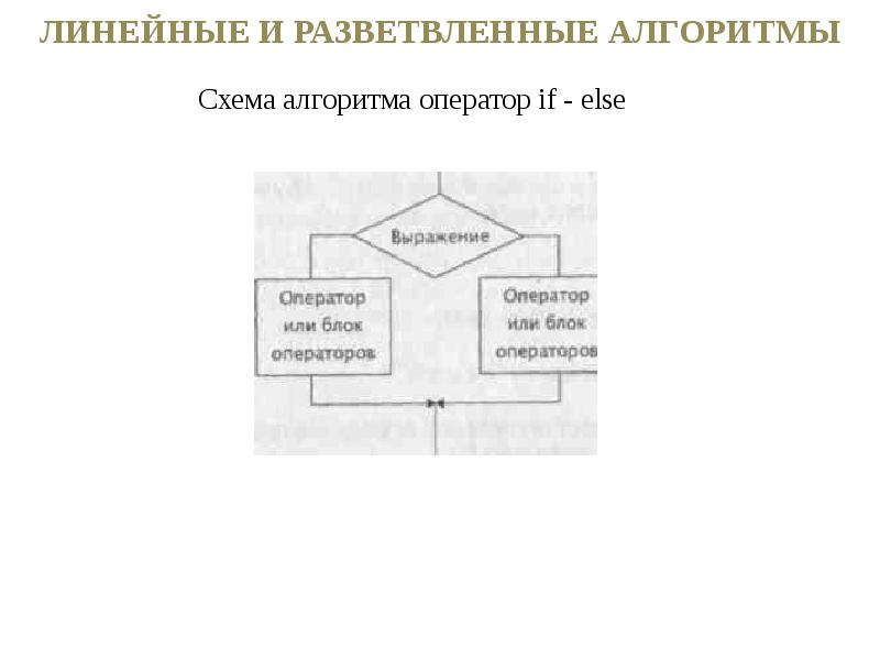 Разветвляющие алгоритмы презентация