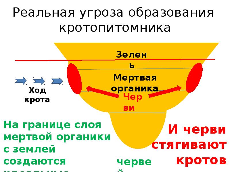 Грядка розума схема