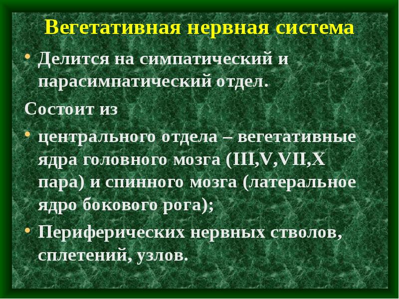 Система делиться. Вегетативная нервная система делится на. Вегетативная нервная система делится н. Вегетативная нервная система делетсяна. Вегетативные ядра.