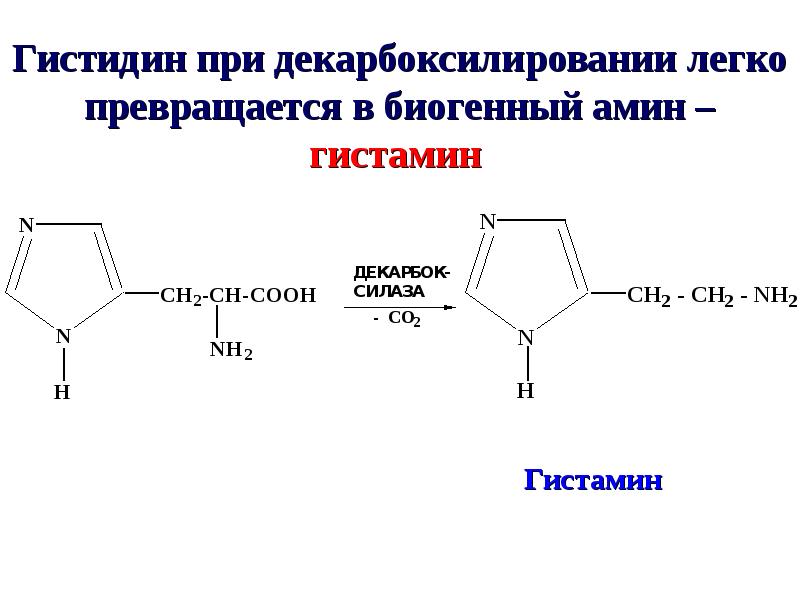 Гистидин для чего