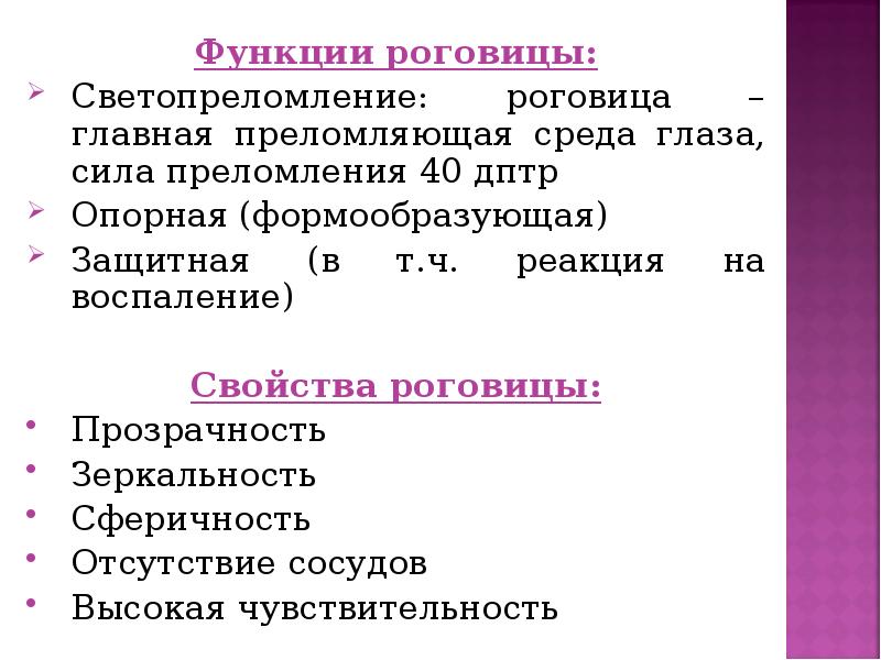 К преломляющим средам глаза относятся