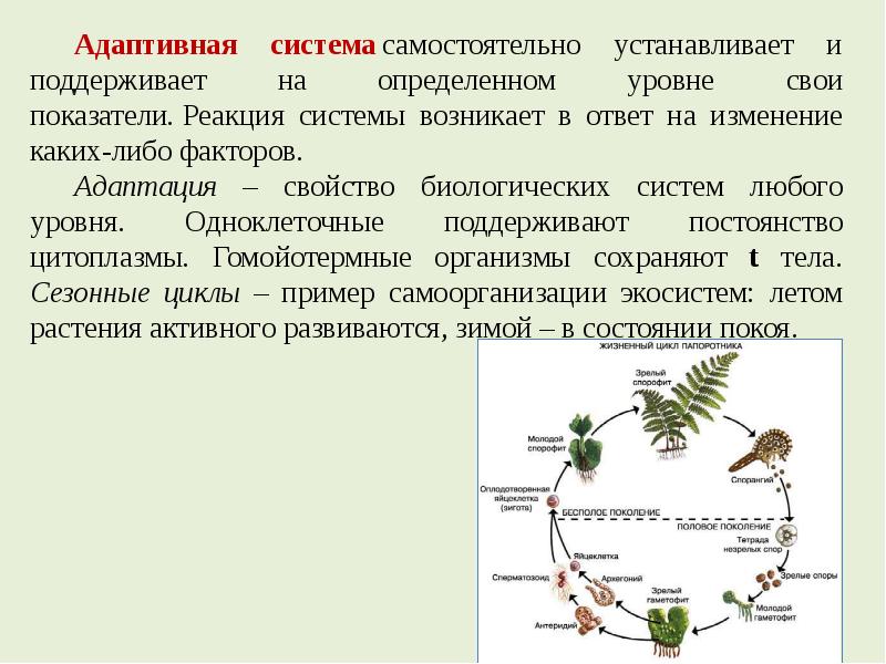 Адаптивный ответ. Адаптивные жизненные циклы. Адаптивные свойства биология. Сезонные циклы примеры. Адаптивная Живая система.