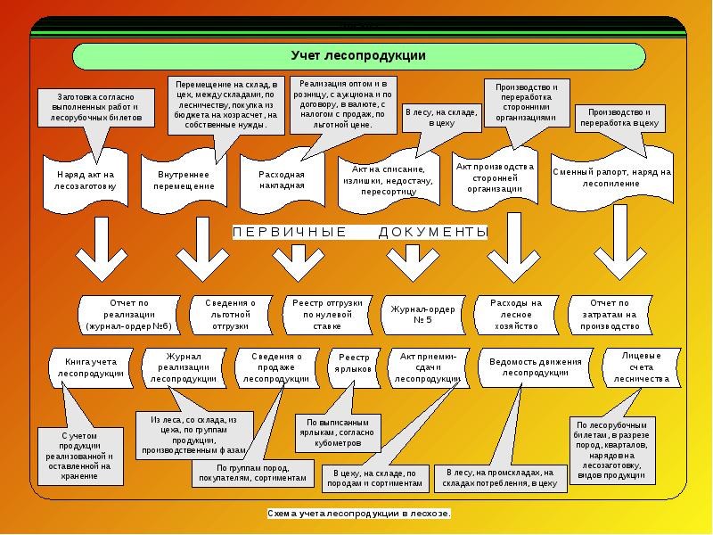 Учет лесов. Учет лесопродукции. Учёт лесного хозяйства. Бухгалтерский учет в Лесном хозяйстве. Инструкция по учету лесопродукции.