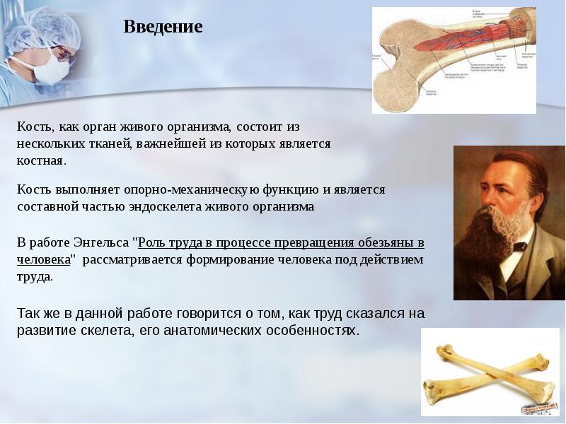 Роль костей. Кости как орган презентация. Кость как орган Введение. Кость как орган состоит из тканей:. Кость как орган выводы.