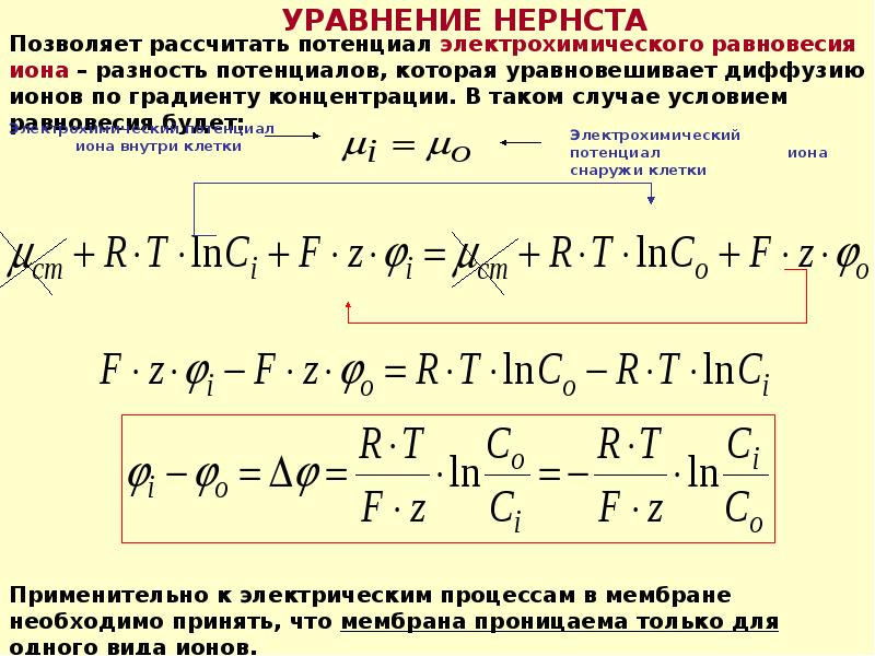 Электрическое поле клетки