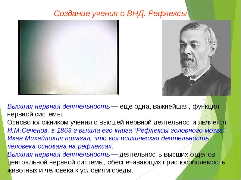 Презентация учение о высшей нервной деятельности сеченова и павлова