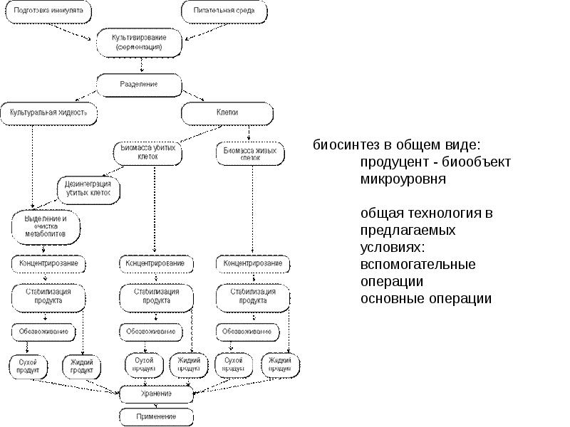 Заполните схему указав операции превращения шкуры в кожу