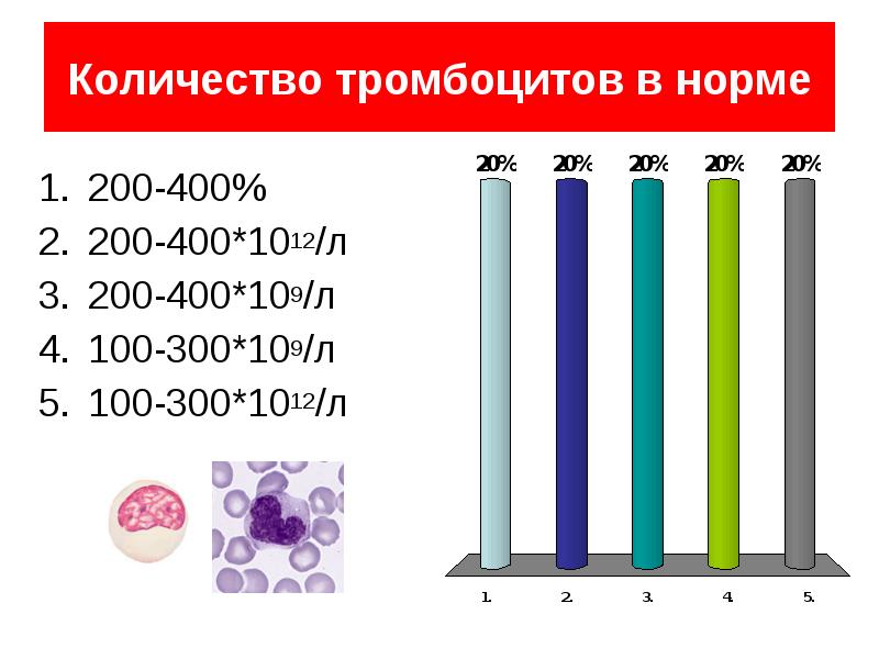 200 нормально. Тромбоциты норма. Количество тромбоцитов в норме. Тромбоциты 109/л норма. Уровень тромбоцитов норма.