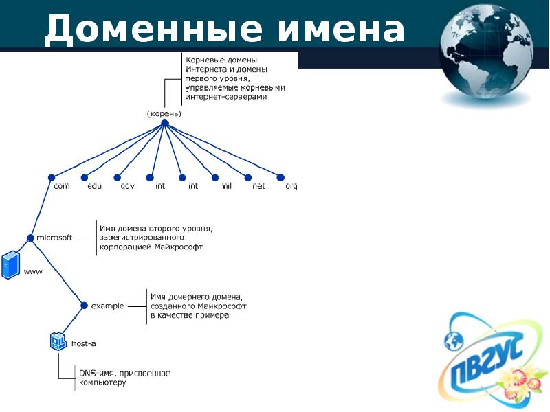 Доменное имя сервера почты. Имя домена. Доменные имена интернета. Имена сетей доменов. Корневой домен пример.