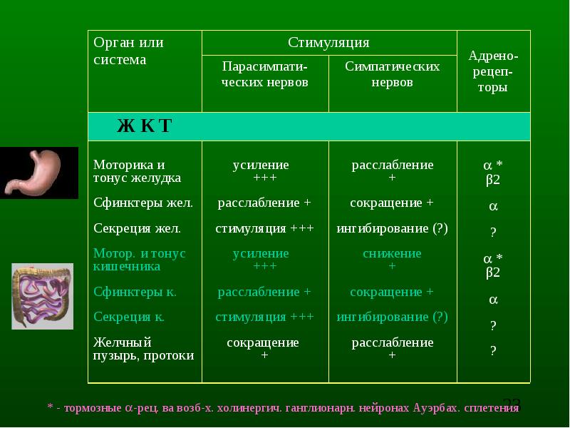 Кишечный тонус. (Адрено)гломерулотропин формула.