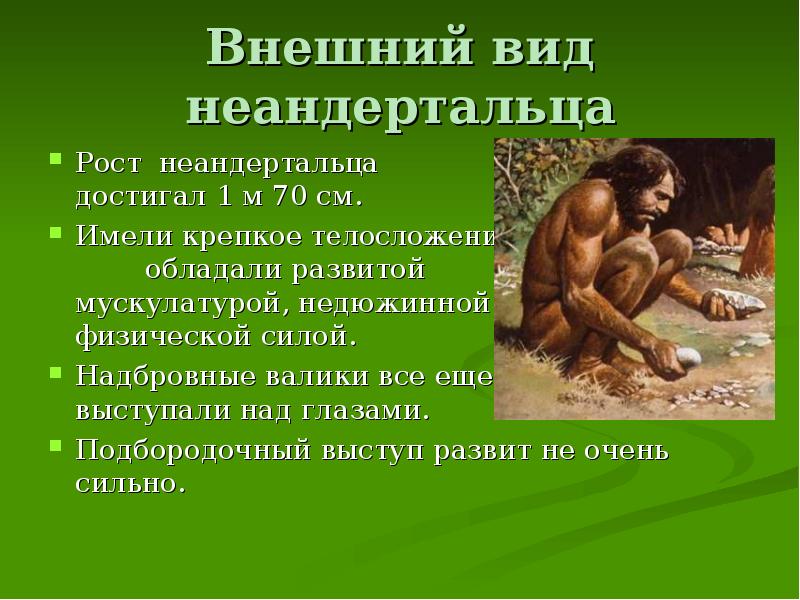 Внешний вид неандертальца Рост неандертальца      