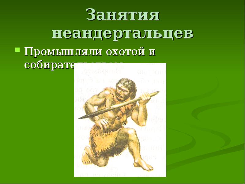 Занятия неандертальцев Промышляли охотой и собирательством